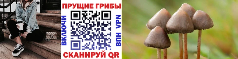 мега ссылка  Нижний Новгород  Псилоцибиновые грибы прущие грибы  наркотики 